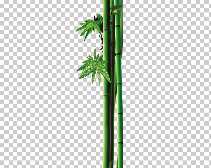Leaf Bamboo Bamboe Green PNG, Clipart, Angle, Bamboe, Bamboo, Bamboo Border, Bamboo Frame Free PNG Download