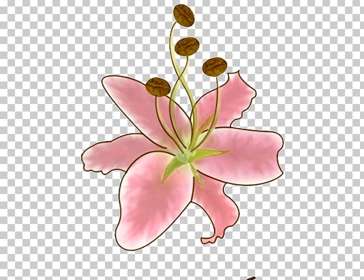 Flower Lilium Gratis PNG, Clipart, Color, Colorful, Designer, Download, Drawing Free PNG Download