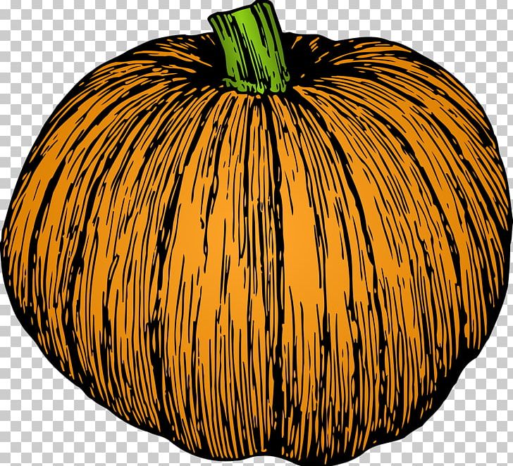 Jack-o'-lantern Pumpkin Pie Gourd Calabaza PNG, Clipart,  Free PNG Download
