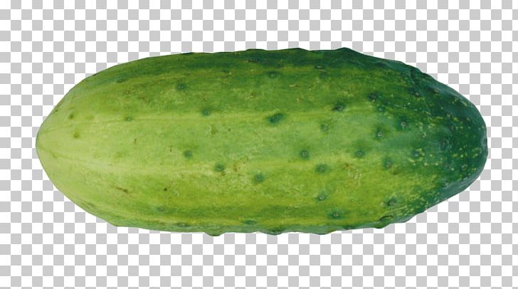Pickled Cucumber Watermelon Vegetable PNG, Clipart, Citrullus, Cucumber, Cucumber Gourd And Melon Family, Cucumis, Food Free PNG Download