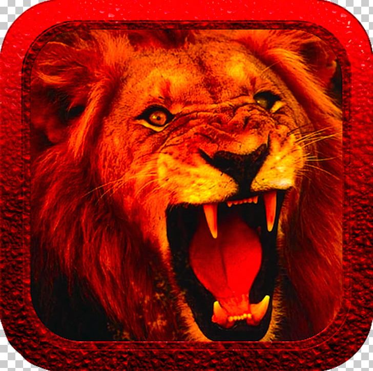 White Lion Desktop Anger Roar PNG, Clipart, Anger, Animals, Bhagat Singh, Big Cats, Carnivoran Free PNG Download