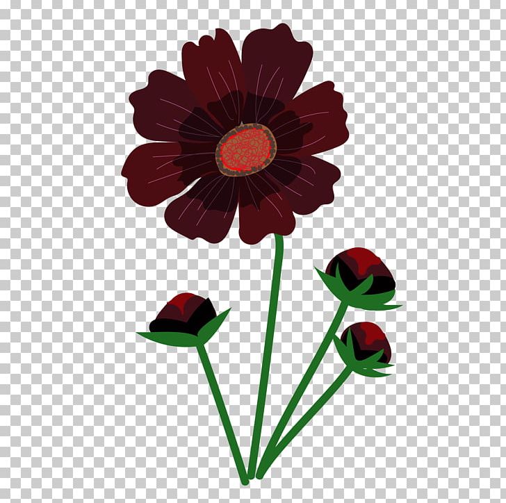 Chocolate Cosmos Photography Flower Transvaal Daisy PNG, Clipart, Autumn, Chocolate, Cosmos, Cut Flowers, Daisy Family Free PNG Download