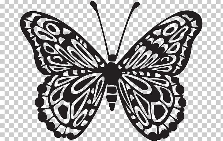 Decal Sticker MacBook Pro Paper PNG, Clipart, Black, Brush Footed Butterfly, Computer, Digital Image, Miscellaneous Free PNG Download