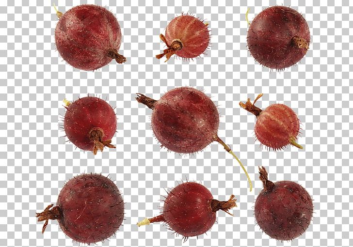 Gooseberry Chestnut PNG, Clipart, Chestnut, Food, Fruit, Gooseberry, Others Free PNG Download