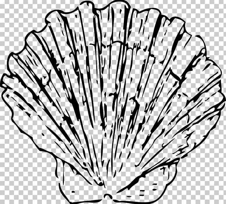 Seashell Conch Clam PNG, Clipart, Animals, Artwork, Black And White, Blog, Blue Free PNG Download