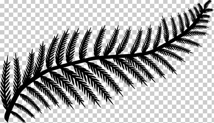 Fern Frond Leaf PNG, Clipart, Black And White, Branch, Burknar, Clip Art, Closeup Free PNG Download