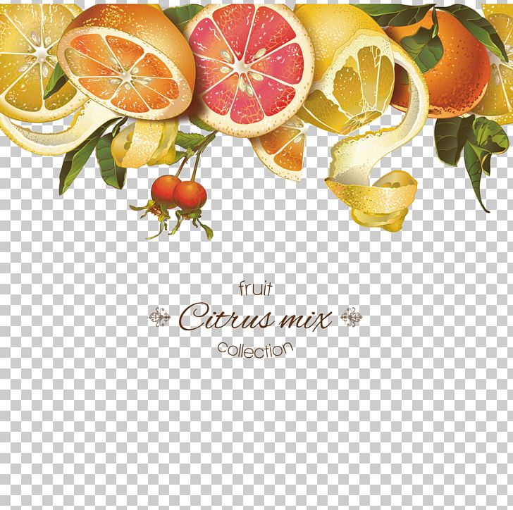 Juice Lemon Grapefruit Tangerine PNG, Clipart, Advertisement, Beauty Salon, Citrus, Cosmetics, Cosmetics Posters Free PNG Download