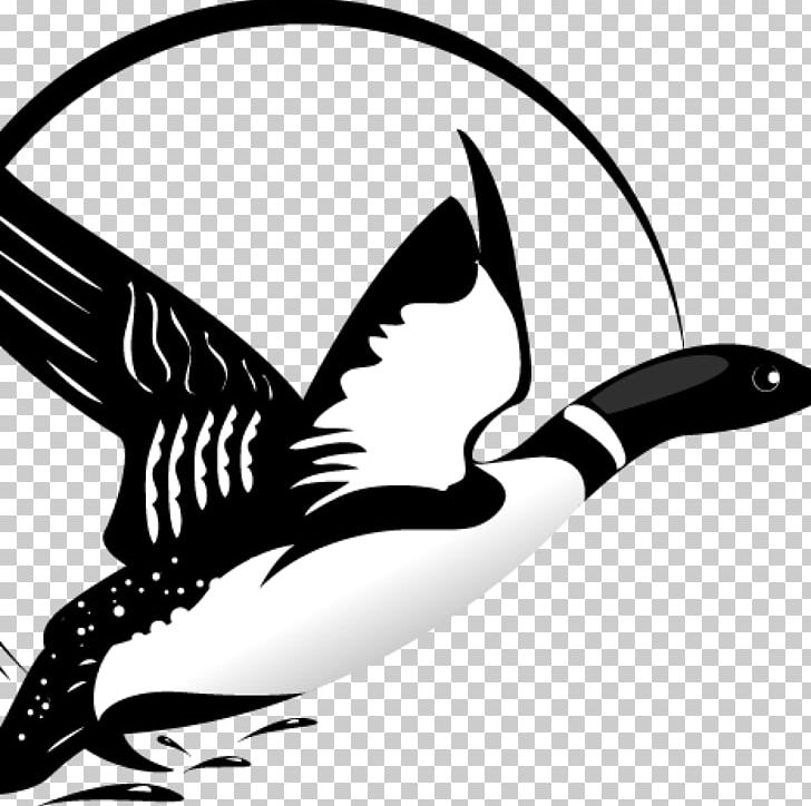 Night Art Gallery Drawing Graphics Illustration PNG, Clipart, Art, Artwork, Beak, Bird, Black And White Free PNG Download