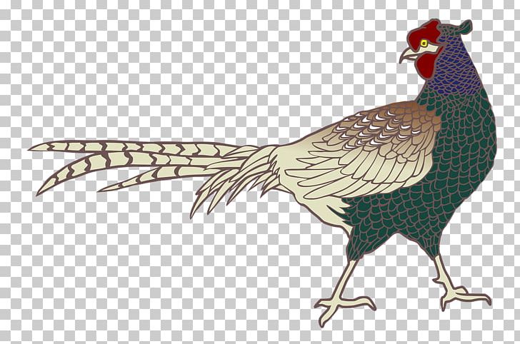 Rooster Ring-necked Pheasant Bird Green Pheasant PNG, Clipart, Animal, Animals, Beak, Bird, Chicken Free PNG Download