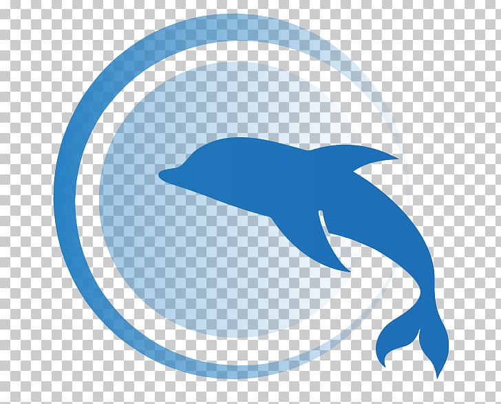Common Bottlenose Dolphin Line Beak PNG, Clipart, Animals, Beak, Bottlenose Dolphin, Common Bottlenose Dolphin, Coral Springs Free PNG Download