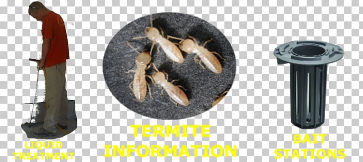 Eastern Subterranean Termite Reticulitermes PNG, Clipart, Eastern Subterranean Termite, Hardware, Hardware Accessory, Reticulitermes Free PNG Download
