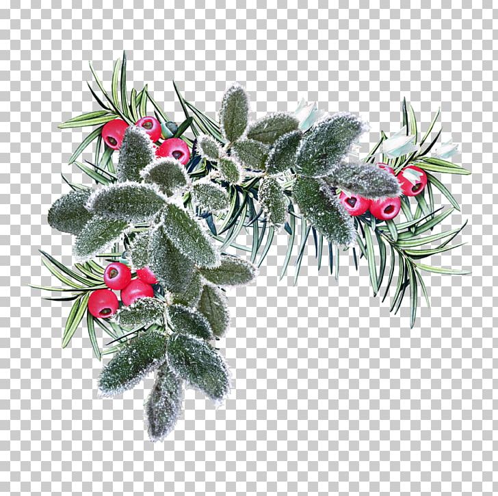 Flower Winter Christmas PNG, Clipart, 18 Label Studios, Branch, Christmas, Christmas Ornament, Desktop Wallpaper Free PNG Download