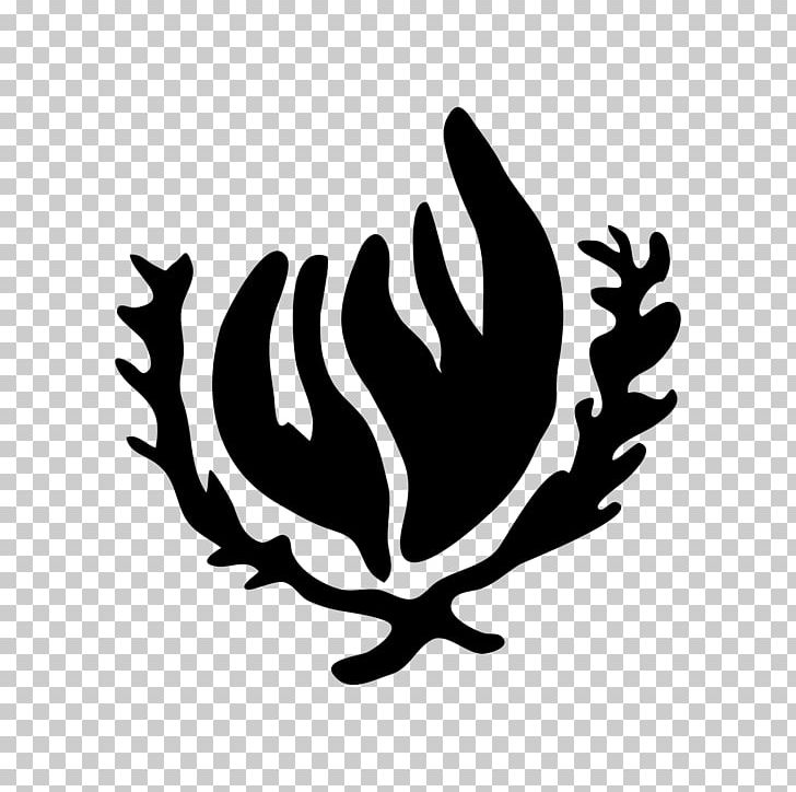 Human Rights Symbol Strike Action Venezuela PNG, Clipart, Black And White, Branch, Flower, Human Rights, Leaf Free PNG Download