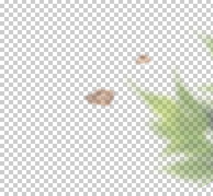 Walnut Leaf Ammonia Lawn Neutralization PNG, Clipart, Ammonia, Cat Litter, Closeup, Lawn, Leaf Free PNG Download