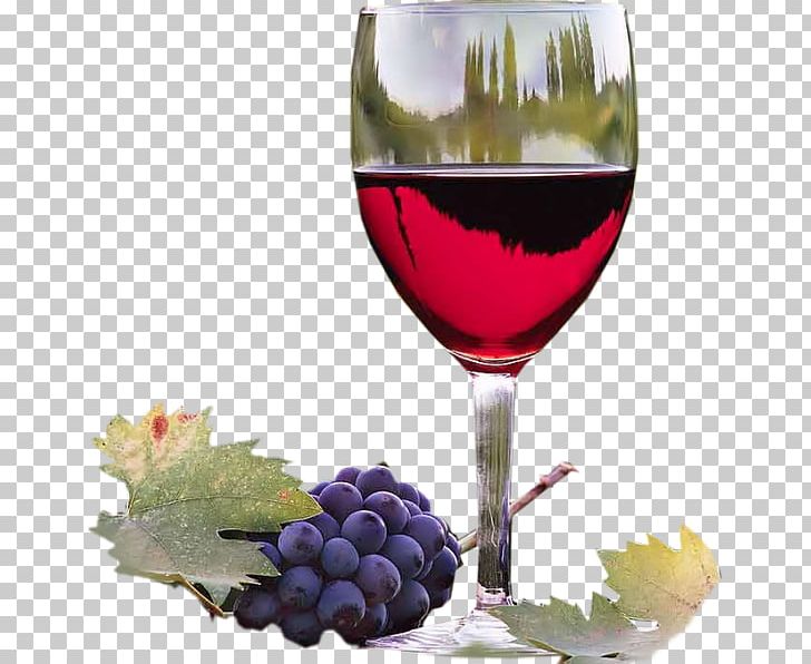 Wine Tasting Malbec Winemaking Winery PNG, Clipart, Aroma Of Wine, Box Wine, Champagne Stemware, Common Grape Vine, Drink Free PNG Download