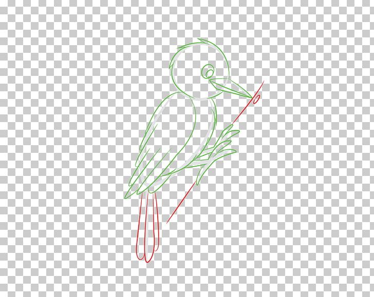 Beak Drawing Illustration /m/02csf Graphics PNG, Clipart, Animals, Art, Artwork, Beak, Bird Free PNG Download