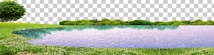 Grass Lake Green PNG, Clipart, Background, Download, Euclidean Vector, Garden, Graphic Design Free PNG Download