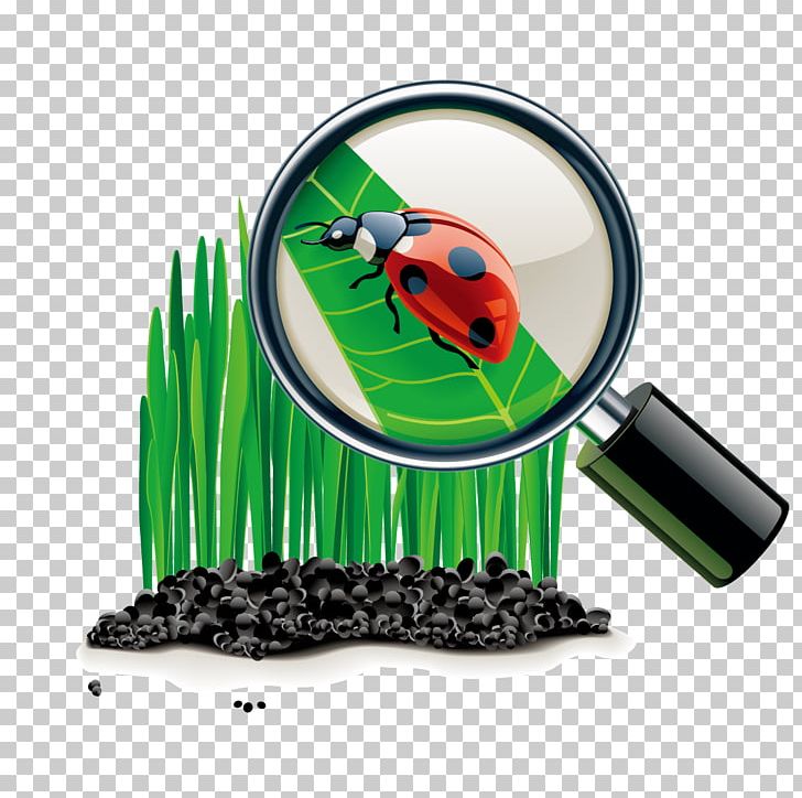 Magnifying Glass Cartoon PNG, Clipart, Chemistry, Computer Icons, Drawing, Encapsulated Postscript, Glass Free PNG Download