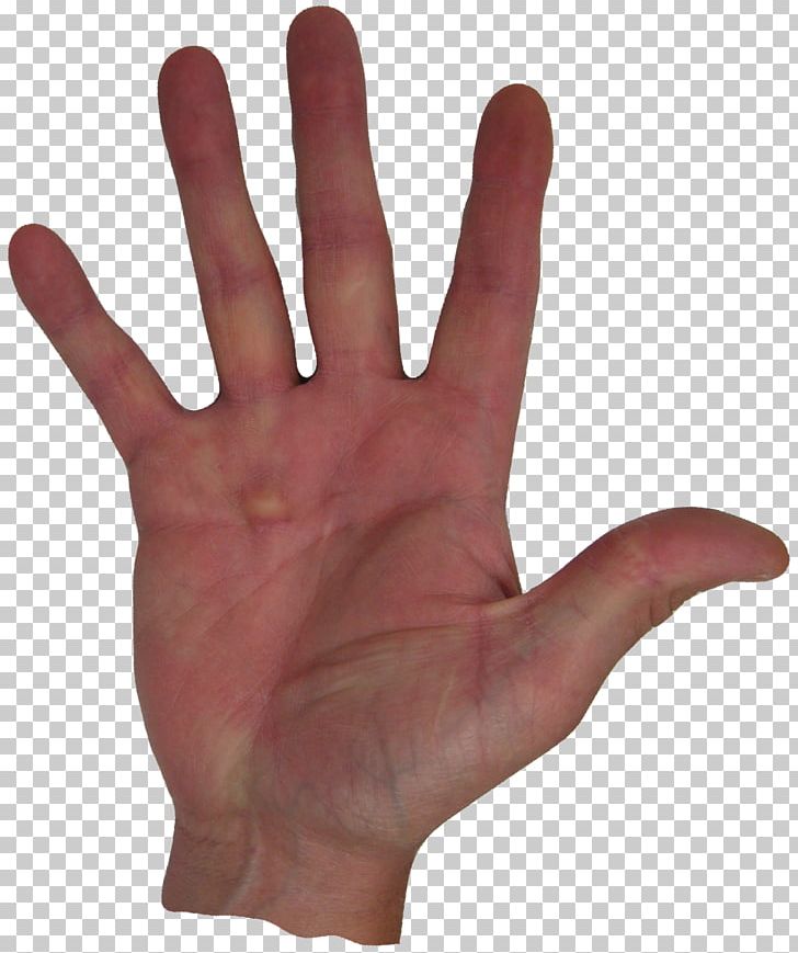 Thumb Hand Model Nail Glove PNG, Clipart, Finger, Glove, Hand, Hand Model, Nail Free PNG Download