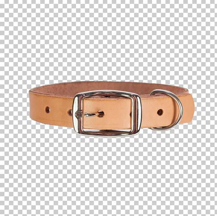 Belt Dog Collar Dog Collar Leash PNG, Clipart, Beige, Belt, Belt Buckle, Belt Buckles, Brown Free PNG Download
