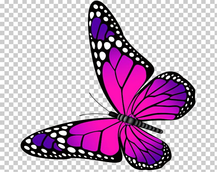 Butterfly Purple Pink PNG, Clipart, Artwork, Brush Footed Butterfly, Butterfly, Clip Art, Color Free PNG Download