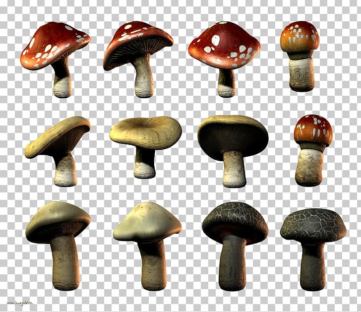 Edible Mushroom PNG, Clipart, Art, Design, Edible, Edible Mushroom, Ingredient Free PNG Download