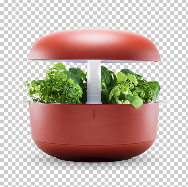 greenhouse vegetables clipart