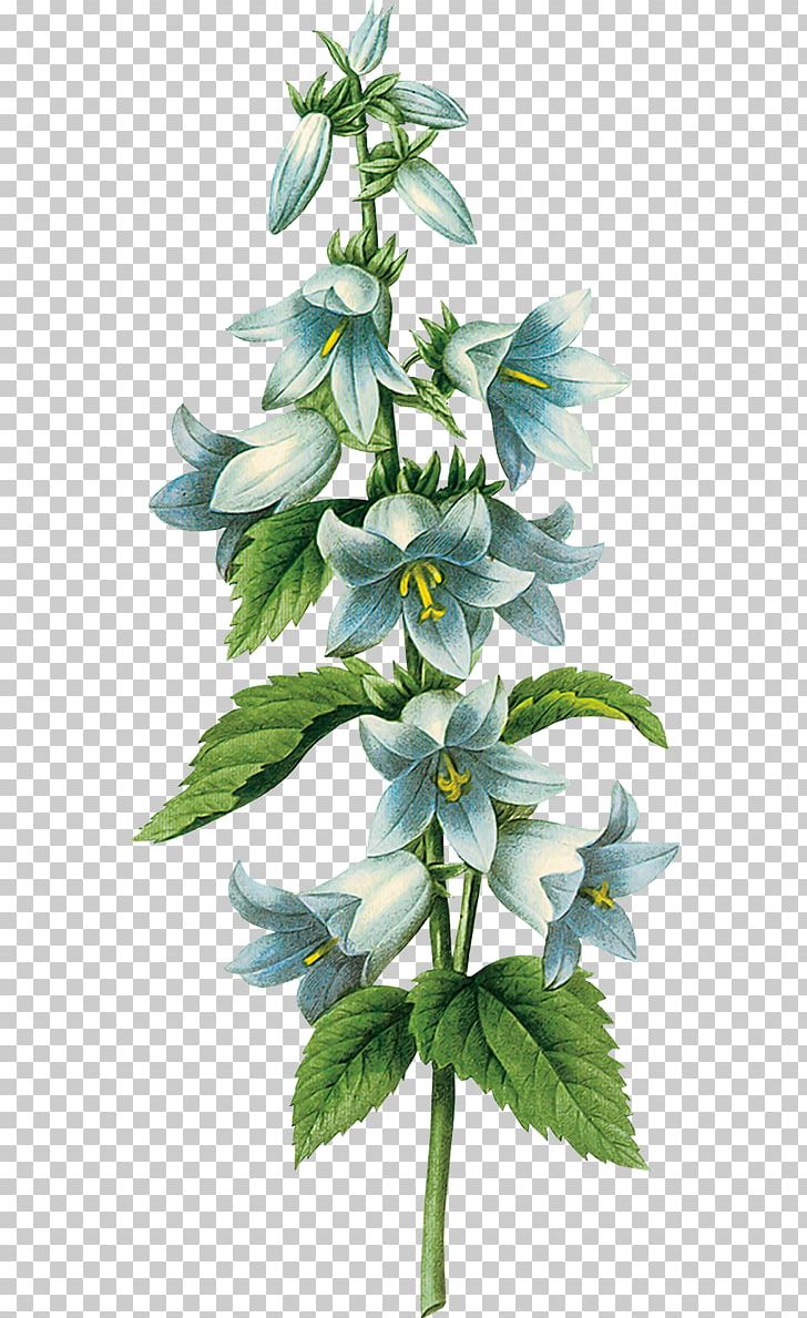 Cloth Napkins Decoupage Floral Design PNG, Clipart, Art, Bell Flower, Bellflower Family, Botanical Illustration, Botany Free PNG Download