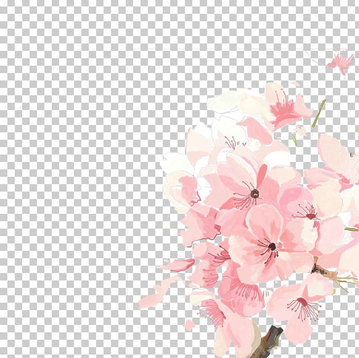 Cherry Blossom PNG, Clipart, Blossom, Branch, Cherry, Encapsulated Postscript, Family Tree Free PNG Download