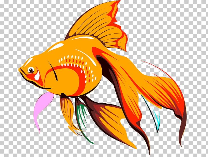 goldfish clipart png