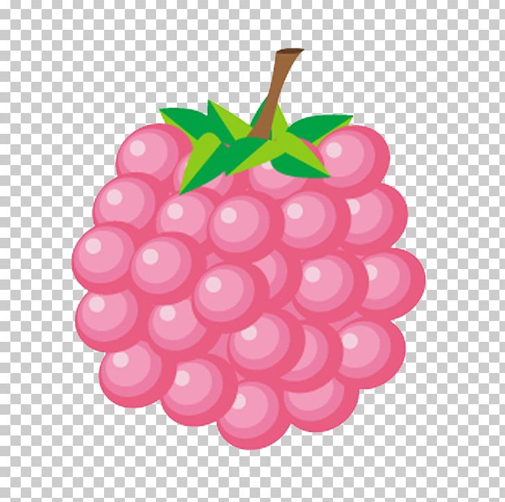 Grape PNG, Clipart, Berry, Computer Icons, Food, Fruit, Fruit Nut Free PNG Download