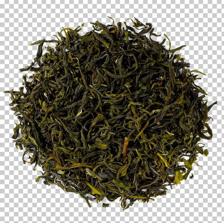 Hōjicha Gyokuro Green Tea Sencha PNG, Clipart,  Free PNG Download