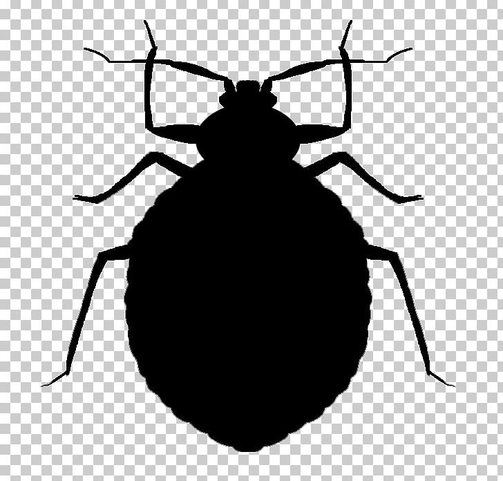Mosquito Insect Bed Bug Bite Pest Control PNG, Clipart, Arthropod, Bed, Bed Bug, Bedbug, Bed Bug Bite Free PNG Download