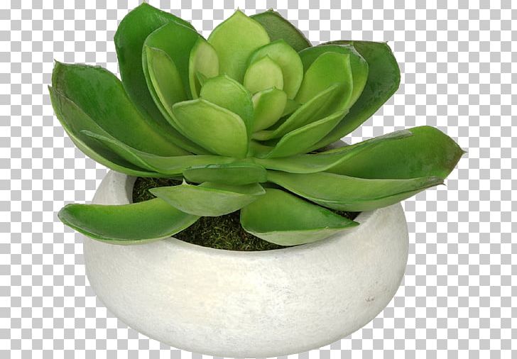 Flowerpot Artificial Flower House Of Silk Flowers Echeveria PNG, Clipart, Agave, Artificial, Artificial Flower, Echeveria, Flower Free PNG Download