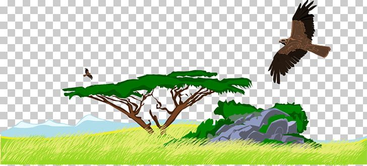 Open Jungle Drawing Graphics PNG, Clipart, Beak, Bird, Bird Of Prey, Branch, Computer Icons Free PNG Download