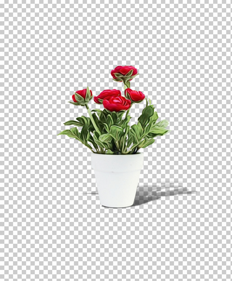 Flower Flowerpot Plant Red Cut Flowers PNG, Clipart, Anthurium, Cut Flowers, Flower, Flowerpot, Houseplant Free PNG Download