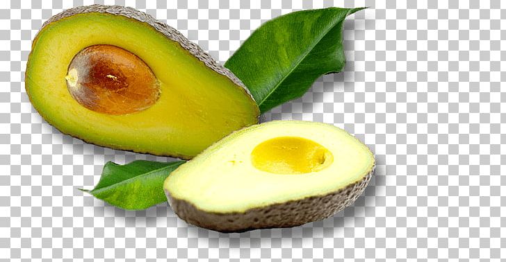 Avocado Colombian Cuisine Mousse Food Mango PNG, Clipart, Avocado, Colombian Cuisine, Com, Cultivar, Diet Food Free PNG Download