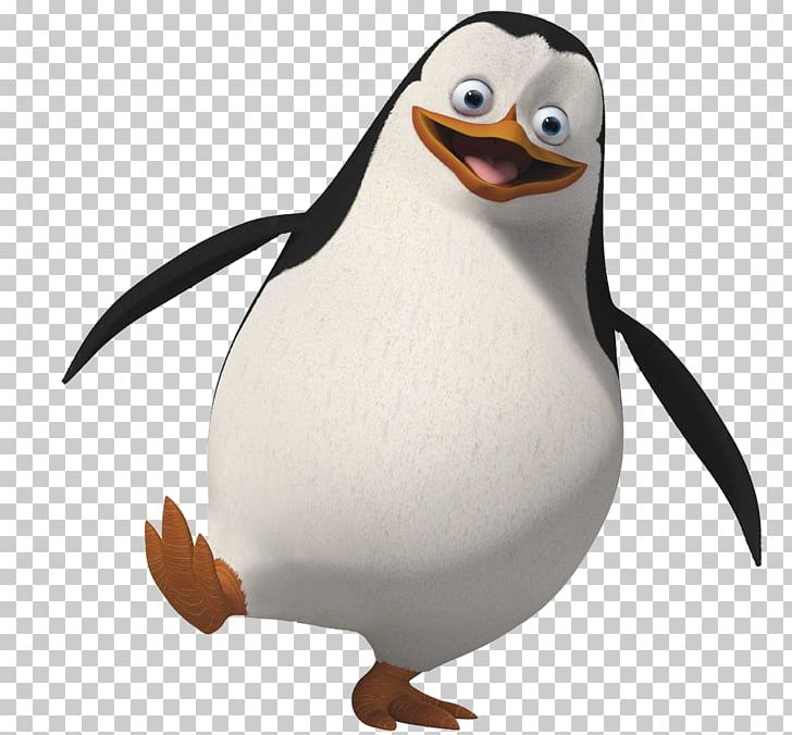 Penguin Animation PNG, Clipart, Animals, Animation, Beak, Bird, Computer Icons Free PNG Download