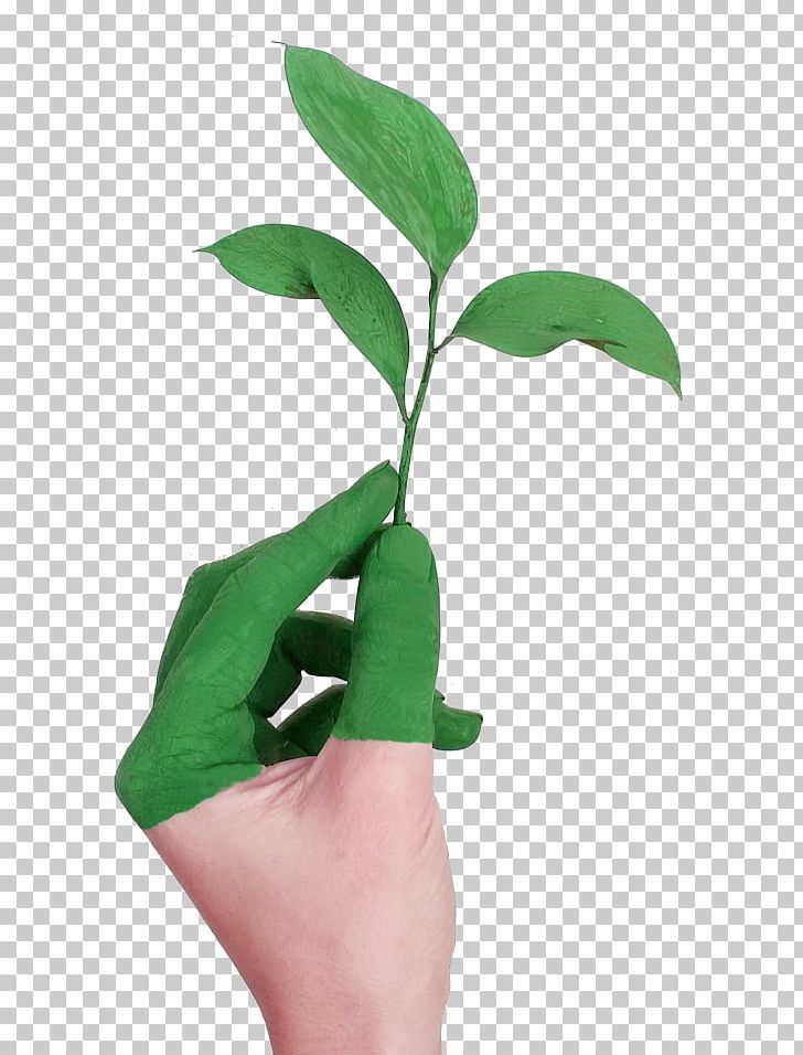 Sustainability Product Natural Environment Business Environmentally Friendly PNG, Clipart, Business, Environmentally Friendly, Finger, Flowerpot, Green Free PNG Download