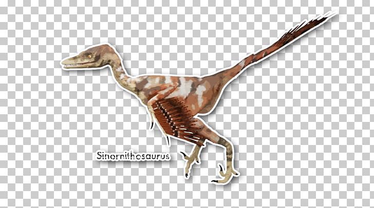 Velociraptor Sinornithosaurus Deinonychus Dromaeosaurids Dinosaur PNG, Clipart, Animal, Animal Figure, Art, Beak, Deinonychus Free PNG Download