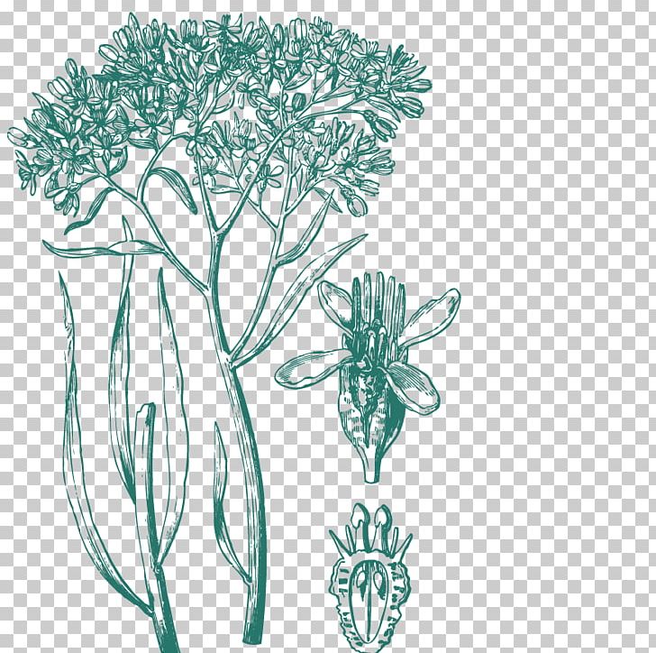 A Sketch Of The Vegetation Of The Swan River Colony Tree PNG, Clipart, Abstract, Animals, Art, Artwork, Branch Free PNG Download