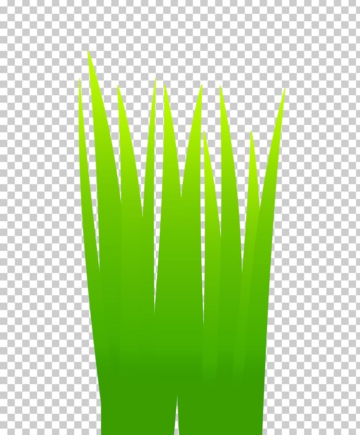 Grasses Leaf Flowerpot Plant Stem PNG, Clipart, Commodity, Family, Flowerpot, Grass, Grasses Free PNG Download