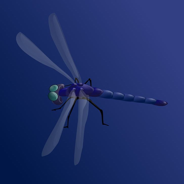 Insect Dragonfly PNG, Clipart, Animation, Arthropod, Blue, Computer Icons, Damselfly Free PNG Download
