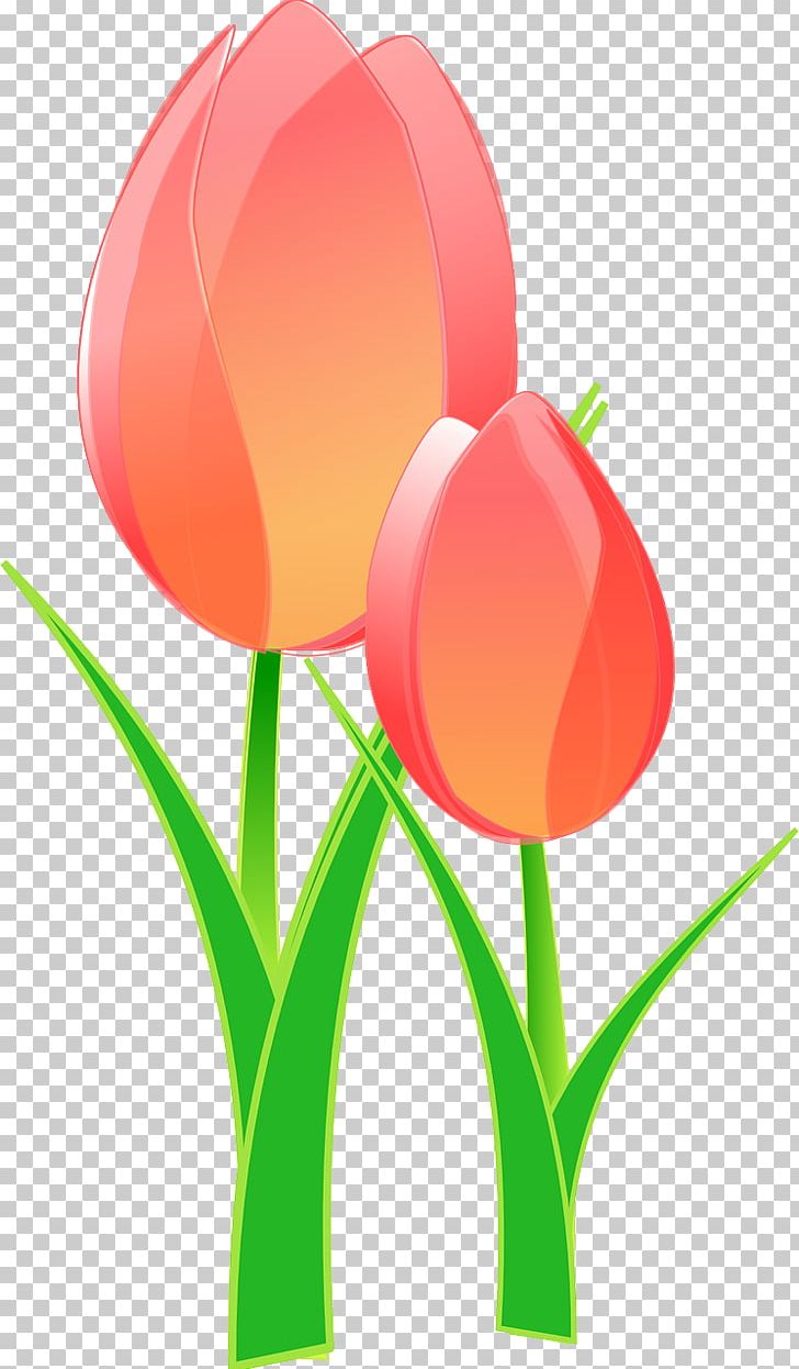 Tulip Mania PNG, Clipart, Clip Art, Computer Icons, Computer Wallpaper, Cut Flowers, Download Free PNG Download