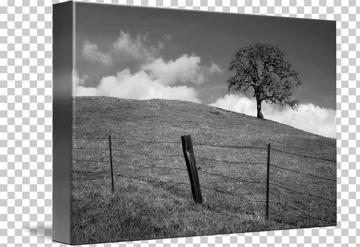 Black And White Kind Art Photography PNG, Clipart, Art, Black, Black And White, Cloud, Dunvant Hill Gardening Services Free PNG Download