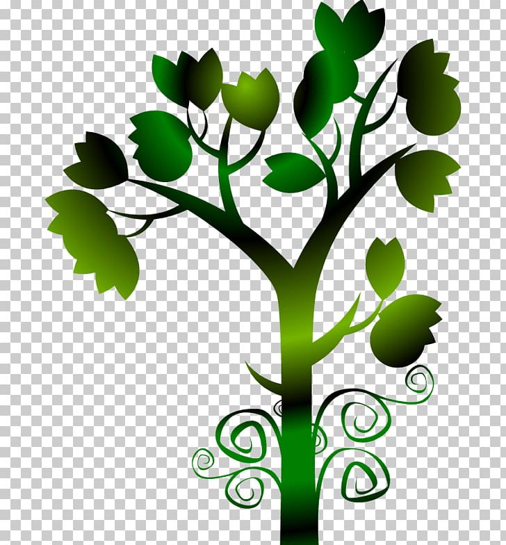 Branch Tree PNG, Clipart, Branch, Decor, Decorative, Drawing, Flora Free PNG Download