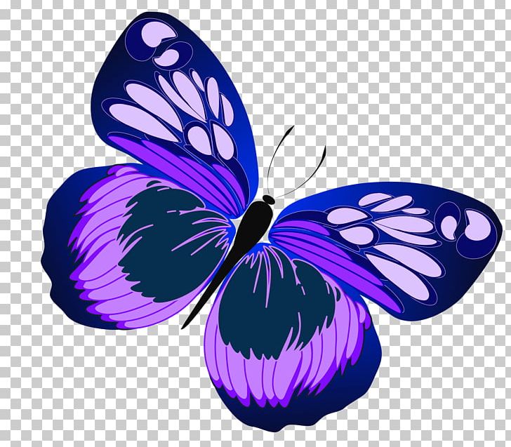 Butterfly Purple Free Content PNG, Clipart, Arthropod, Blog, Blue, Brush Footed Butterfly, Butterfly Free PNG Download