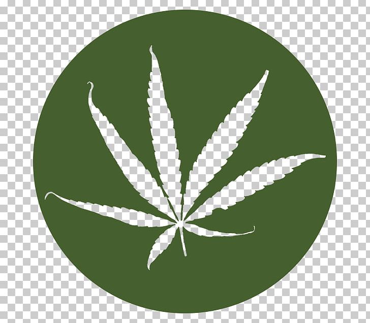 Cannabis Green Hemp Leaf PNG, Clipart, Cannabis, Green, Hemp, Hemp Family, Leaf Free PNG Download