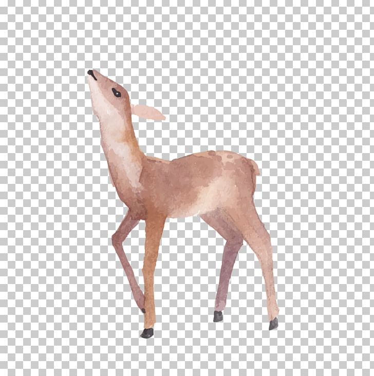 Deer Watercolor Painting PNG, Clipart, Animal Figure, Animals, Antelope, Antler, Canvas Free PNG Download