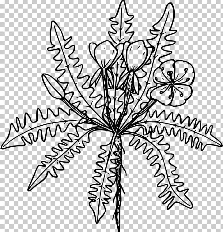 Drawing PNG, Clipart, Black And White, Branch, Drawing, Evening, Flora Free PNG Download